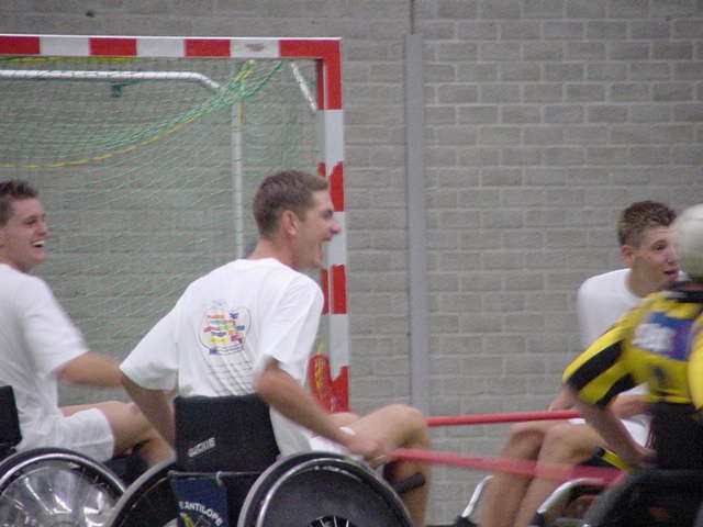 rolstoelhockeydieren.jpg